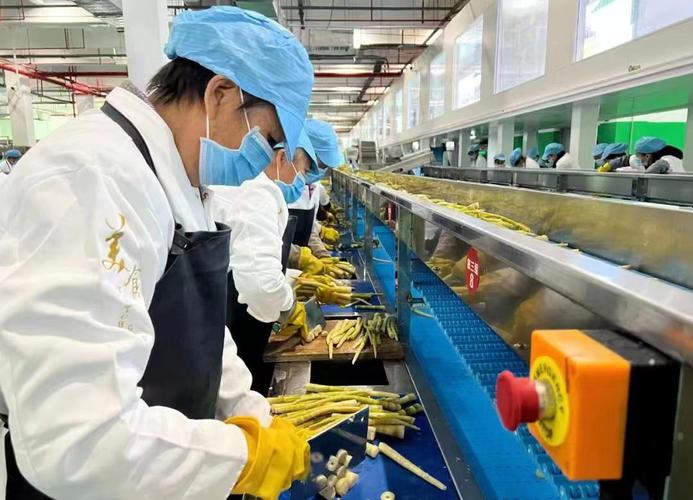 28 贵州省桐梓县方竹笋生产加工线