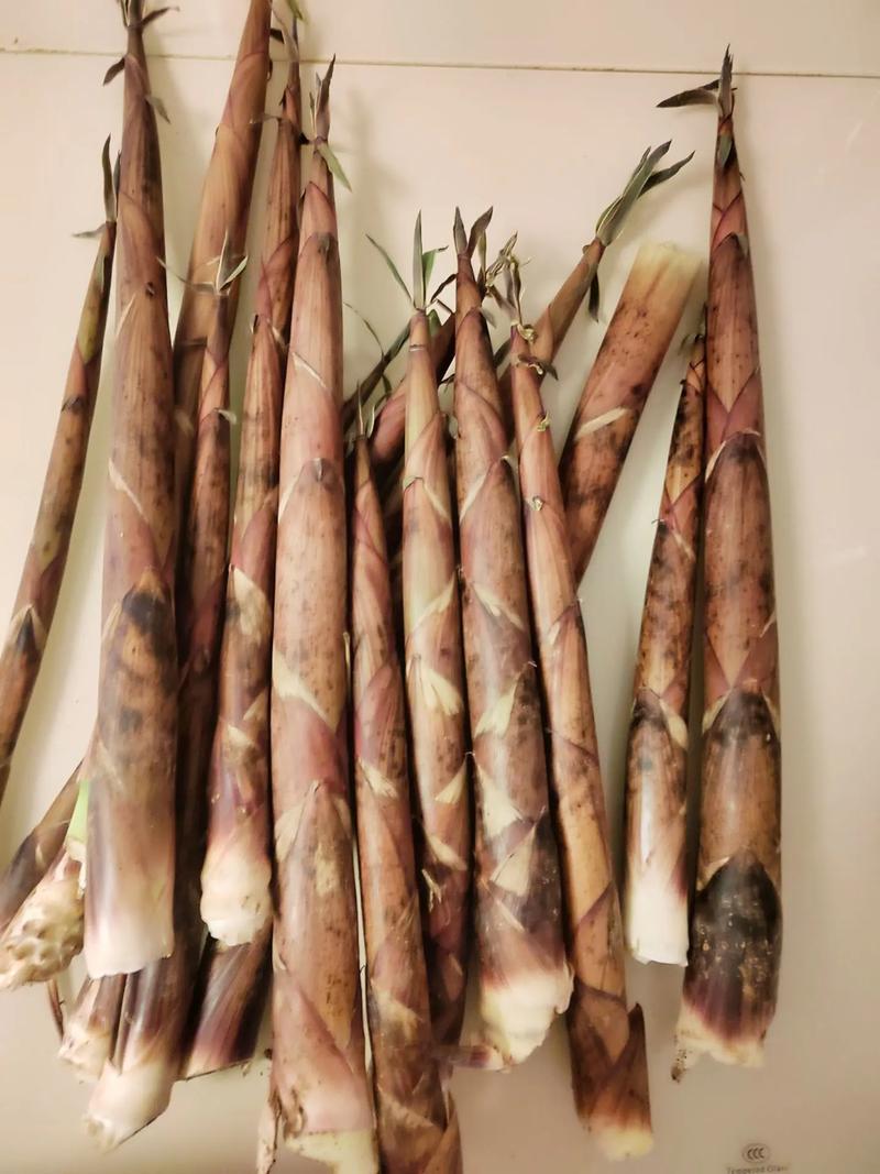 新鲜竹笋炒肉 清甜脆嫩的全流程制作工艺