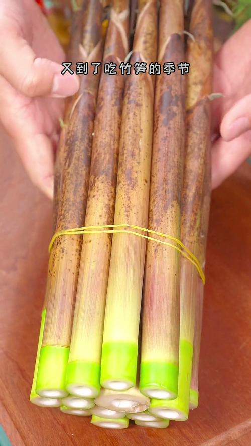 又到了吃笋子的季节,竹笋这样煸炒一下,香辣入味,做法简单,好吃又下饭